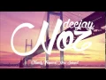Download Lagu DJ Noz - Try (Colbie Calliat) [Cover by Danielle Bradbery] Tropical House VS Zouk Remix
