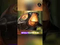 The Saddest Dinosaur Fossil