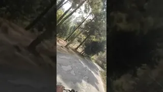 bullet status video