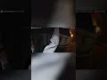 Eminem s Ex-Wife Kim Scott s Drunk Driving Arrest Caught on Police Bodycam