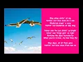 Ella Fitzgerald  blue skies lyrics