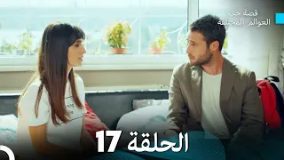 قصة حب العوالم المختلفة الحلقة 17 Arabic Dubbed 