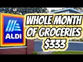 Whole Month of Groceries only spending 333 Frugal Shopping at Aldi Walmart Winco