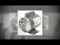 hp electric motor 1725 rpm