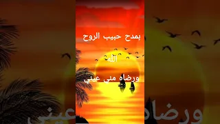 بمدح حبيب الروح بدون موسيقى للمنشد أحمد حسن ورضوان محمود 