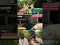 Marlon Asher x Sizzla Kalonji “ Never See Us Fall” | 🎛️ #newsingle