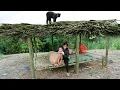 Download Lagu TIMELAPSE 516 days: Single Mother Builds Bamboo House Alone - Full video
