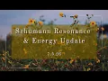 Schumann Resonance Energy Update 7 5 26