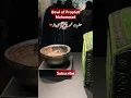 Download Lagu Bowl of Prophet Muhammad Salalah Ho Aleh Wa Alehi Wasallam ❤ #viralvideo #ahlebait #gulshaneadab