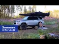 Summertime boondock our first PNW dispersed campsite Off-grid solo camping with my dog on BLM land