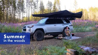 Summertime boondock our first PNW dispersed campsite Off-grid solo camping with my dog on BLM land