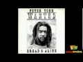 Peter Tosh | Wanted Dread And Alive (1981) álbum completo