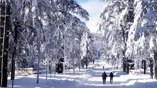 الموسيقى التى يبحت عنها الجميع موسيقى عربية بدون حقوق طبع ونشر للمنطاج 