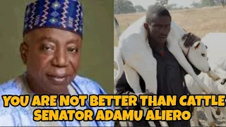 you are same as cattle senator adamu aliero said nigerians are the same as fulanis cows