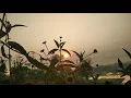 Download Lagu Suara ayam jago pagi hari