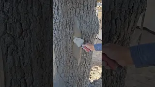 Asi son los trabajos con moldes de nuestra empresa kanelorocks