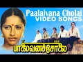 Download Lagu Palaivana Cholai Video Songs | பாலைவனச்சோலை பாடல்கள்!   சுஹாசினி, சந்திரசேகர்!