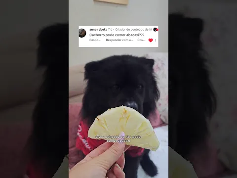 O QUE SEU PET PODE OU NÃO PODE COMER- ABACAXI 🍍  #comida #cachorro #shorts