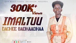 Dachee Badhaadhaa Imaltuu New Oromo Music 2024 Official Video  Dachee Badhaadhaa Imaltuu New Oromo Music 2024 Official Video