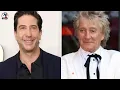 David Schwimmer Once Served Rod Stewart Divorce Papers Daily Newsline Express