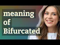 Bifurcated meaning of Bifurcated