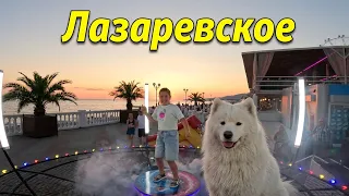 Мама купи пёсика!!! Готовый ролик!!!🔥ANDODANCE🔥