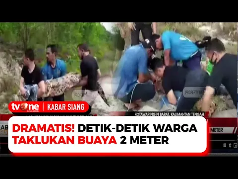 Buaya Sepanjang 2 Meter Masuk Permukiman Warga di Kotawaringin Barat