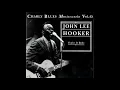 John Lee Hooker - Shake It Baby (Compilation) (1993)