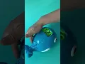 Bubble Machine for Toddlers Whale Automatic Bubble Blower Review Self contained without a messy