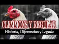 Clammons and Regular History Differences and Legacy
