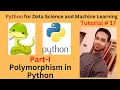 Tutorial 17 Polymorphism in Python Part 1