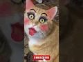 Download Lagu APT APT cat funny version😺😍#catdance #dance #apt #rosé #apt #funny #youtubeshorts #ytshorts #cat