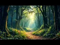 Animated magical forest background No Copyright Stock Background