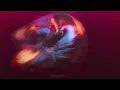 BAMBII - TWITCH (Official Video)