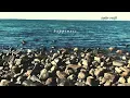 Taylor Swift - happiness (Official Lyric Video)