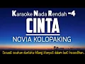 Download Lagu Cinta - Novia Kolopaking Karaoke Lower Key Nada Rendah -4