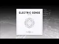 Electric Sense 080 (August 2022) [mixed by DJ B.K.] | Progressive House Mix