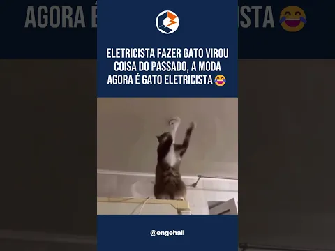 🐱💡 Quando o eletricista fala: “É só trocar a lâmpada!” 😂⚡