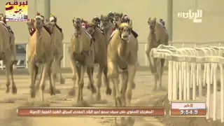 ش1 الجزيرة لـ هجن الشحانية السيف الذهبي حيل مفتوح 11 3 2016 التوقيت 11 50 4 