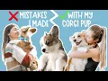 9 BIG Mistakes I Made With My Corgi Puppy Everything I Wish I Knew Before I Got My Corgi Dog