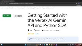 Getting Started with the Vertex AI Gemini API and Python SDK LAB - 3