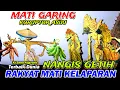 Download Lagu ONTOSENO RAKYAT TERTINDAS 💫 WAYANG KULIT KI DALANG SENO NUGROHO