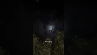 انس ابو سنينة عدي زاغة من دونك ما بعيش 