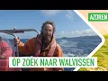 Download Lagu Chris gaat walvissen spotten bij de Azoren | 3 OP REIS