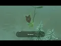 Korok Seed 282 Hebra West Summit East The Legend of Zelda Tears of the Kingdom