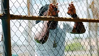 FG KÒBÒY - DEPÒTASYON! (Official MUSIC VIDEO)