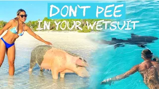 Cruising the Northern Exuma Cays, Bahamas – Shipwrecks, Snorkeling, Sharks & Pig Beach! – Ep 18