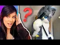Gun Fails - WTF Did We Just Watch