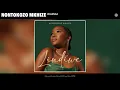 Lagu Nontokozo Mkhize - Walenga (Official Audio)