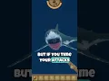 Tackle Bruce the Shark More Easily with These Tips on Raft